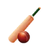 cricket category icon